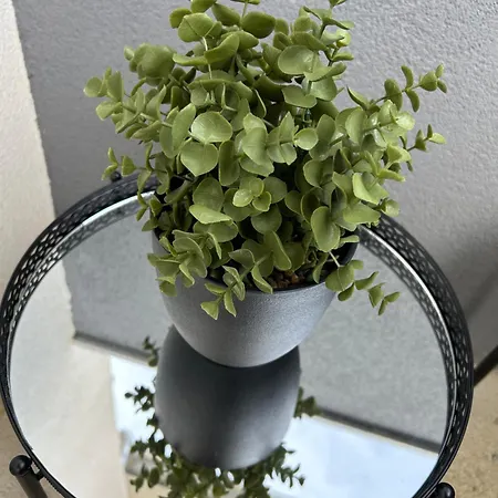 Appartement Apartman Ivana Šibenik